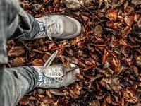 Pathways to Poverty