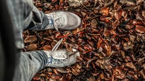 Pathways to Poverty