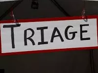 Directory Independent Living Triage